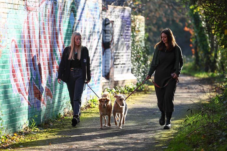 Jodie Bennett (izquierda), del Centro para Animales rescatados de Bristol, en Inglaterra pasea a sus dos perras Alba y Rosie junto a su colega Abi Oldfield.