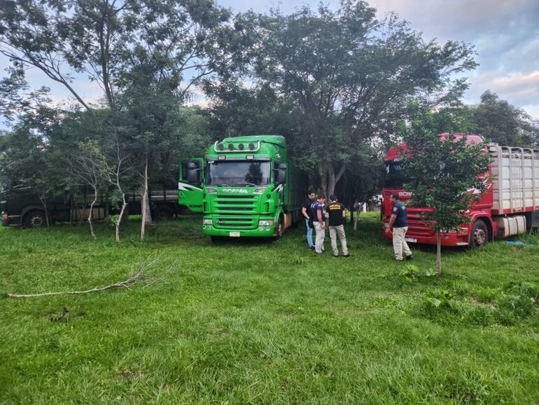 Dos de los tres tractocamiones incautados hoy durante allanamientos en simultáneo.