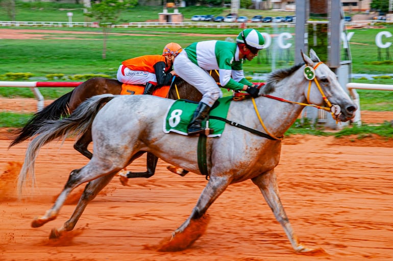 Se disputarán seis emocionantes sueltas por el Aniversario de Fundación del Jockey Club del Paraguay.