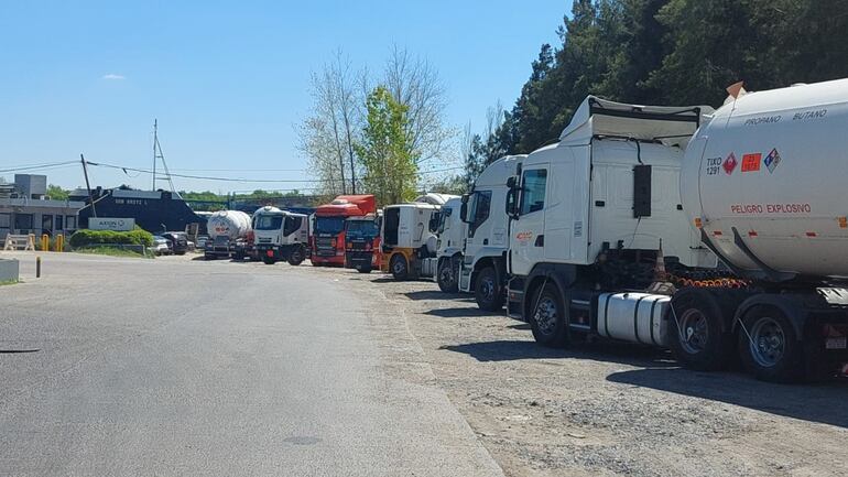 Varios camiones estaban varados en Campana, Argentina. 