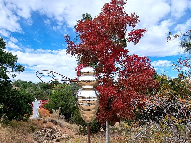 18-09-2023 MARTA ESCURRA JARDIN BOTANICO DE SANTA FE NUEVO MEXICO SANTA FE BOTANICAL GARDEN NEW MEXICO