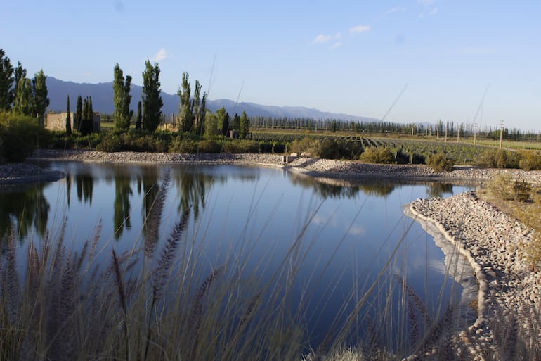 Alrededor de 80 viñedos de Mendoza están equipados para celebración de bodas. Una idílica vista de Roller Boher en Valle de Uco.