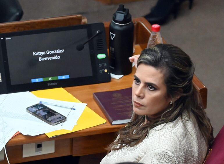 Primera Sesion De Los Nuevos Senadores , Sala de la camara de Senadores

Fernando Romero 30-06-23 Kattya González