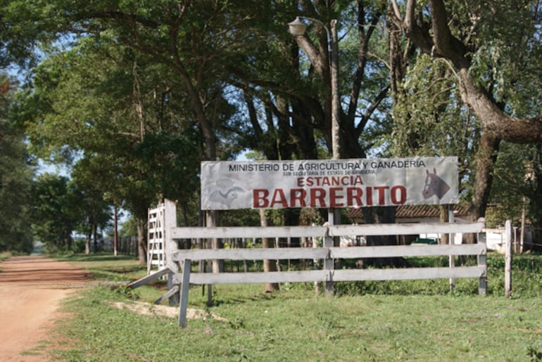 Piden leyes más severas para hacer frente a la ola de abigeato que azota al departamento de Paraguarí.