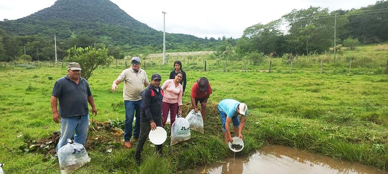 Intensifican cría de peces como alternativa de rubro de autoconsumo y renta en Ybycuí, Quiindy y Mbuyapey.