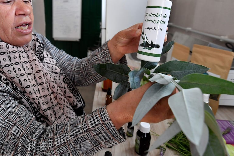 Mabrouka Athimni, quien lidera un colectivo local de mujeres recolectoras de hierbas llamado "Al Baraka" ("Bendición"), muestra aceite extraído de plantas en un laboratorio en la aldea de Tbainia, cerca de la ciudad de Ain Drahem, en el noroeste de Túnez.