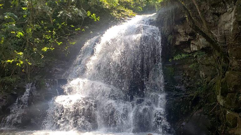 La cascada de Línea Oro de Tito Firpo de Tavai.