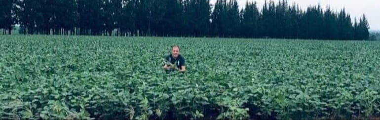 Un campo de cultivo de soja al norte de Alto Paraná.