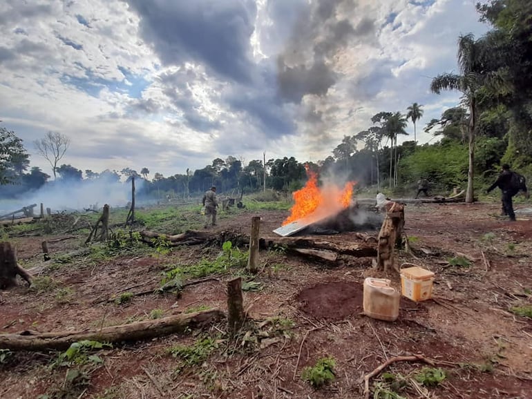 El procedimiento de los agentes antidrogas en la reserva forestal donde se encontró la plantación de marihuana.