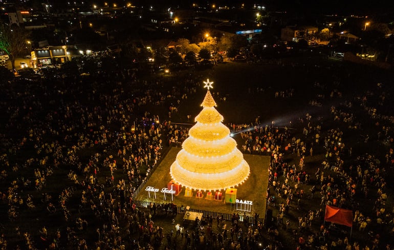 Árbol gigante.