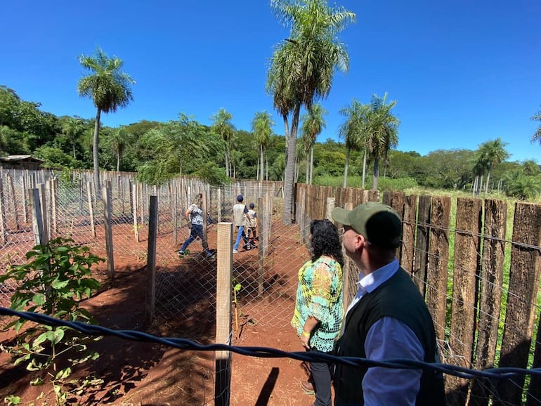 Los visitantes pueden disfrutar de explorar el laberinto Jasy Jateré.