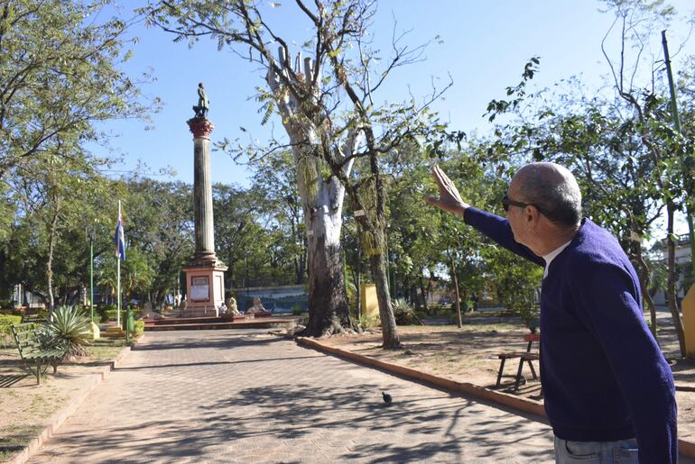 La planta de eucalipto que se inclina hacia la estructura de la estatua del Gral. Eduvigis Díaz genera preocupación de pobladores.