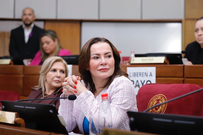 La senadora Noelia Cabrera Petters, durante una de las sesiones en el Congreso Nacional.