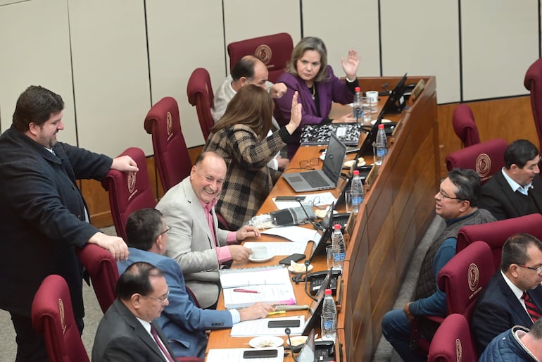 Sesión extraordinaria de la Cámara de Senadores. Mañana volverán a sesionar.