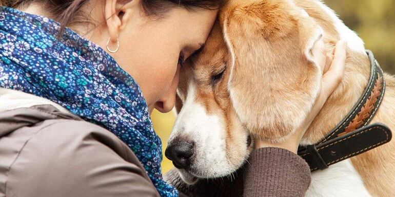 Los animales son buenos para la salud mental: ayudan a reducir el estrés, la soledad, la ansiedad y la depresión.