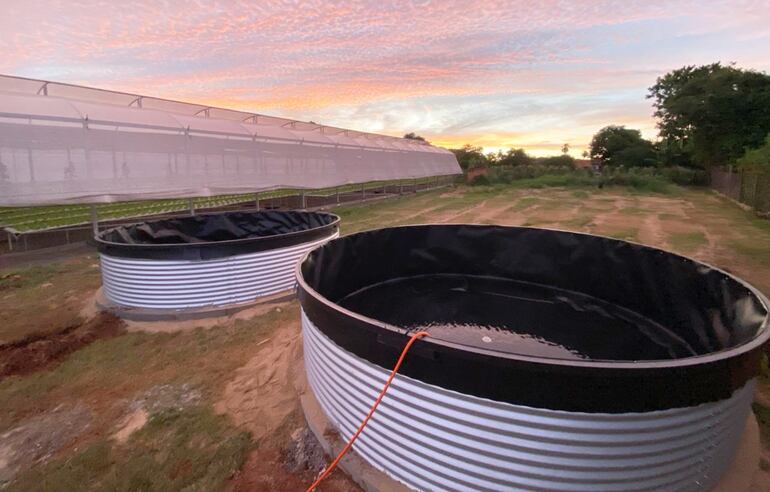 En Paraguay esta tecnología no está muy desarrollada; sin embargo, se presenta como una interesante alternativa que puede ser considerada por los productores hortícolas y acuícolas.