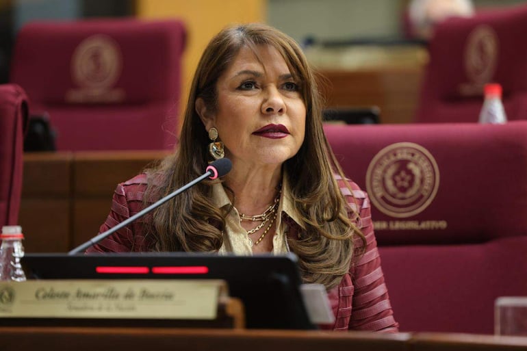 La senadora Celeste Amarilla (PLRA), cuestionó el aplazamiento del dictamen del proyecto de ley.