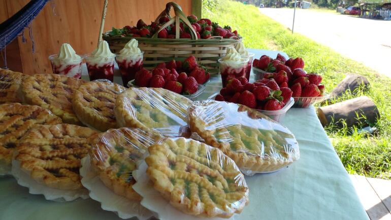 En el local "La Cotorrita" esperan con frutas frescas, pastafrollas y chantilly con frutillas.