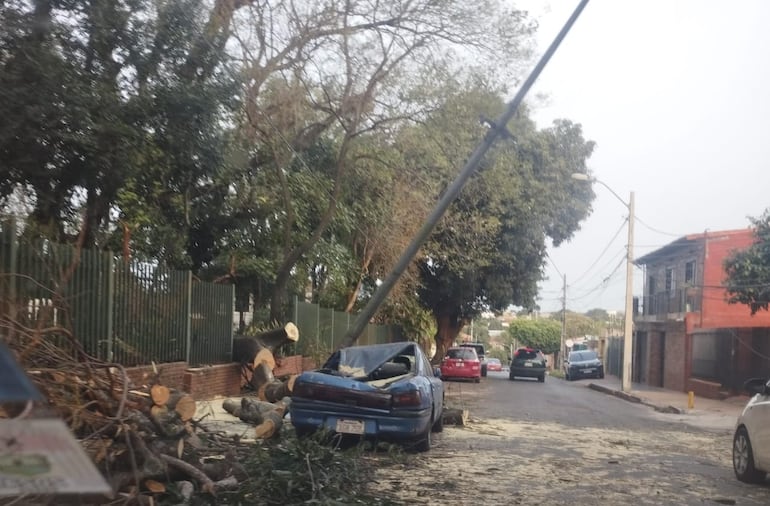 Árbol cayó en la plaza Carmen de Lara Castro del barrio San Pablo de Asunción y destrozó una casa y un auto.