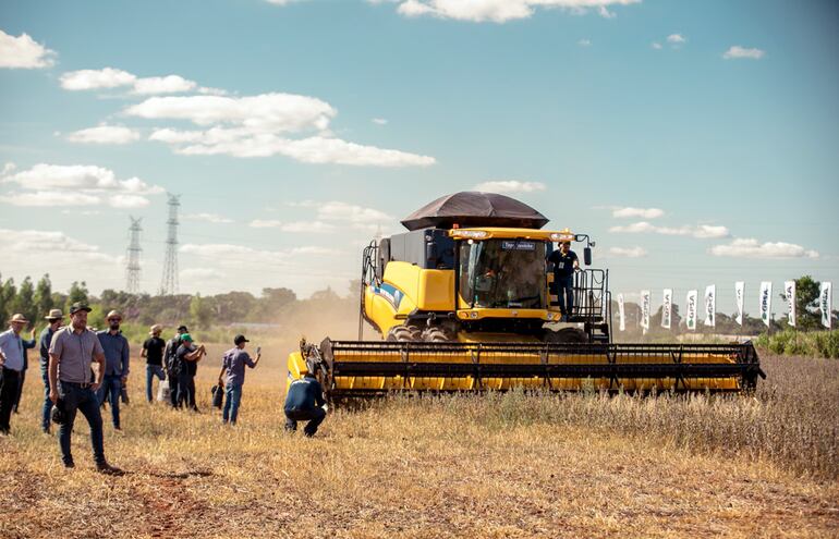 Cosechadora realiza trabajo en cultivares de soja, en parcelas preparadas en el campo demostrativo de Cetapar, en Yguazú, Alto Paraná.