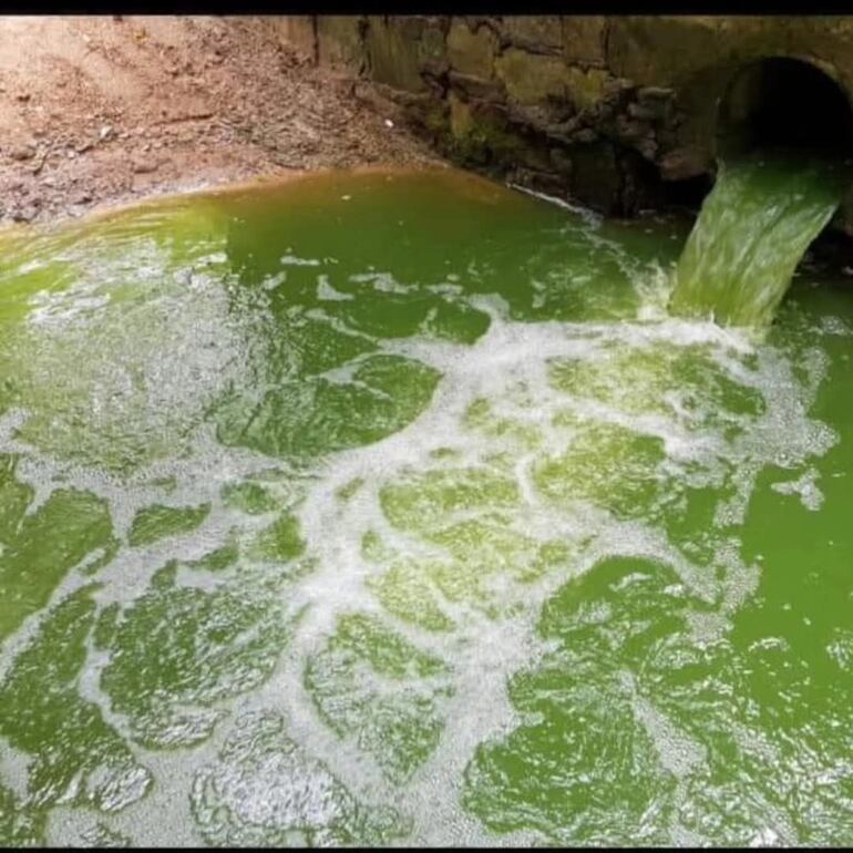 Líquidos cloacales vertidos desde la planta de tratamiento de la Essap en Nueva Londres. 

 