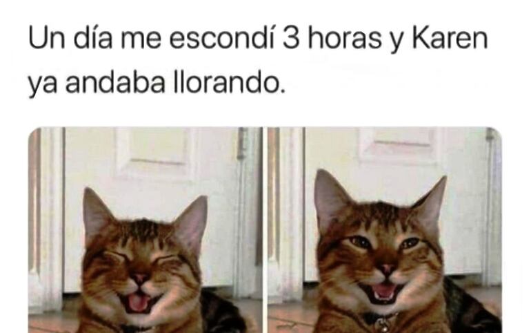 Los memes de Karen esconden una conmovedora historia real