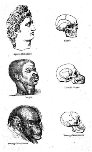 Imágenes del libro “Tipos de humanidad o investigaciones etnológicas, basadas en los monumentos, pinturas, esculturas y cráneos antiguos de las razas, y en su historia natural, geográfica, filológica y bíblica” (1854)