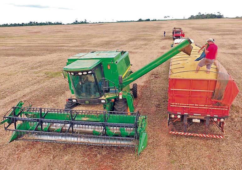 La dinámica exportadora de commodities, como la soja, de América Latina no fue uniforme en los últimos tiempos.