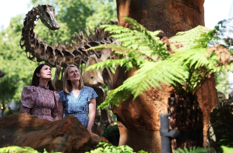 Los visitantes posan con 'Fern', una estatua de bronce de Diplodocus, en los jardines renovados del Museo de Historia Natural de Londres, Gran Bretaña. El museo afirma que los jardines será uno de los sitios naturales urbanos más estudiados a nivel mundial. 