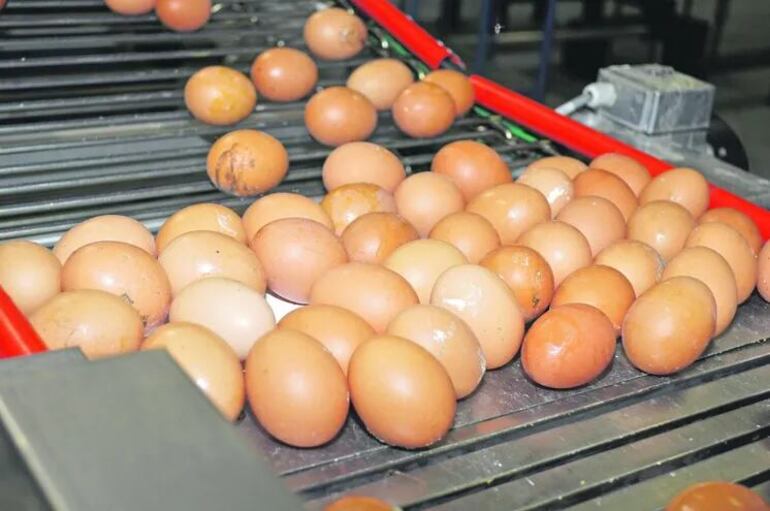 Subirá más el precio de los huevos y otros alimentos