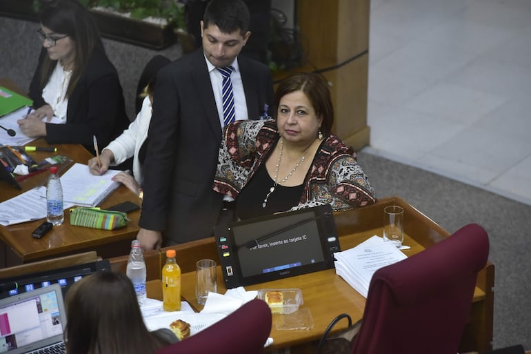 Sesion de la camara de senadores en el congreso nacional
Hoy 17 de Abril de 2024 Esperanza Martínez, senadora frente guasu. 
Gustavo Machado