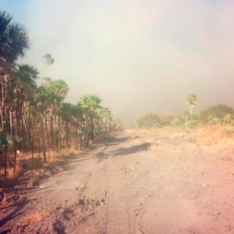 El fuego avanzando rápidamente por los campos ganaderos.