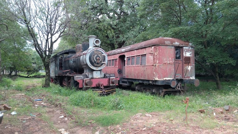 Vagones y locomotoras de la Estación Botánico en total estado de abandono.