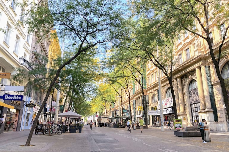 Vista de unos árboles en una calle de Viena (Austria). Más verde, más sombra, menos CO2, menos calor. Esa es la ecuación que está aplicando para combatir las crecientes temperaturas veraniegas la ciudad de Viena, donde desde 2021 se han plantado cada año 4.500 nuevos árboles.