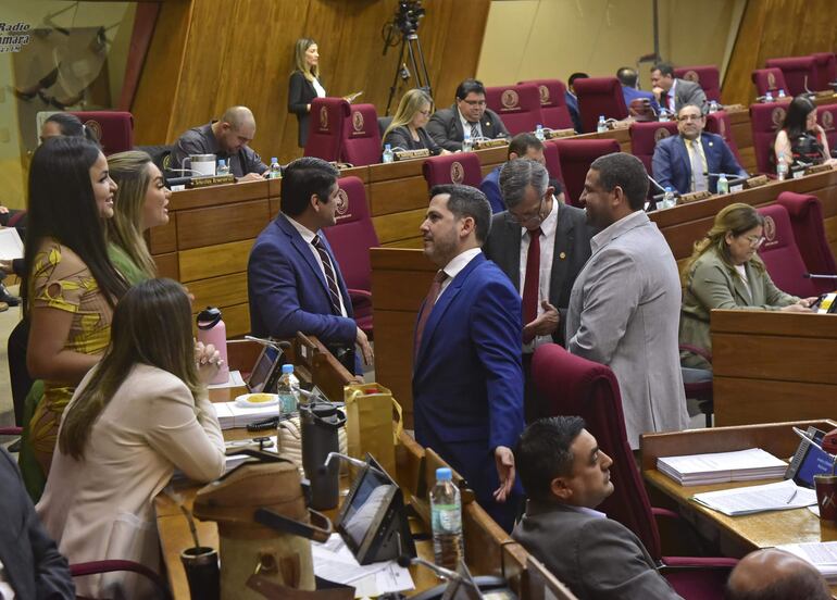 Sesión de la Cámara de Diputados.