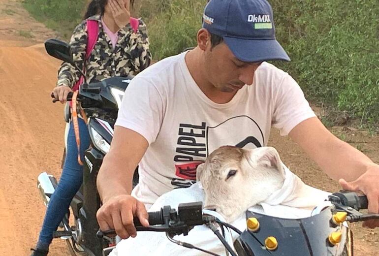 Uno de los procesados por abigeato lleva sobre moto una parte del animal.