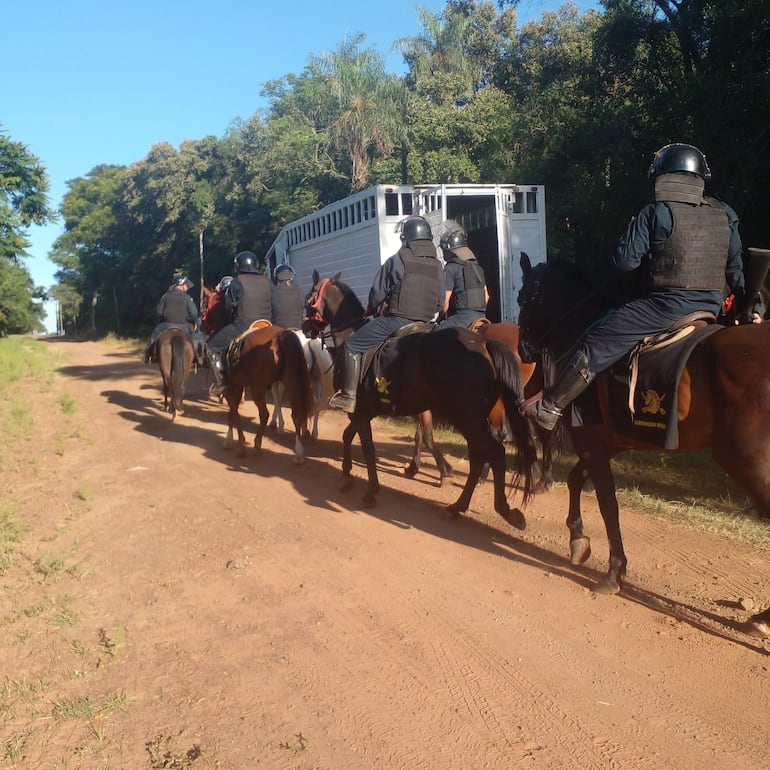 Policía Nacional realiza rastrillaje en zona boscosa de San José de los Arroyos en Caaguazú, por intento de feminicidio a una mujer que recibió 30 puñaladas por su expareja.