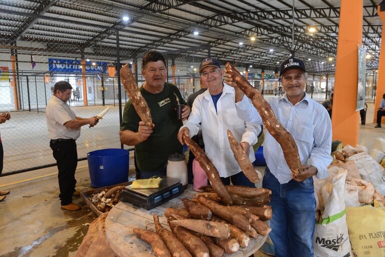 Los productores de mandioca llegaron al nuevo mercado con 1.500 kilos de mandioca.