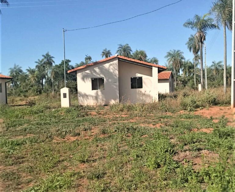 Viviendas adjudicadas hace un año están saturadas de  yuyales y siguen sin ser ocupadas en Acahay