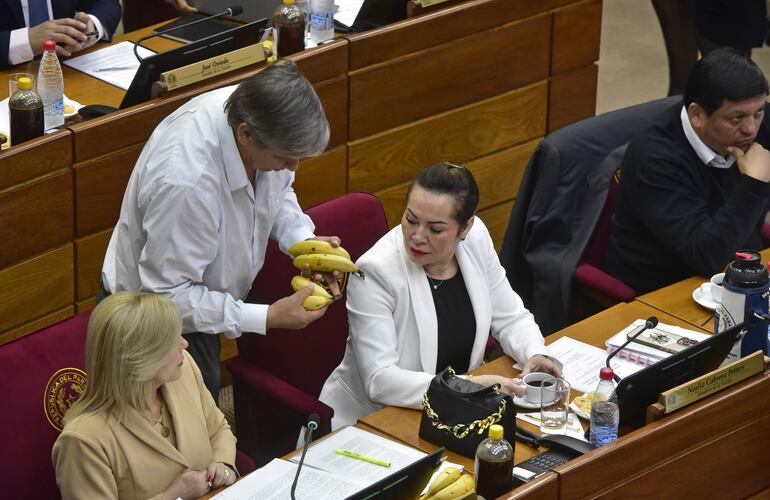 La senadora Hermelinda Alvarenga y Noelia Cabrera ven la producción del senador José Ledesma. 