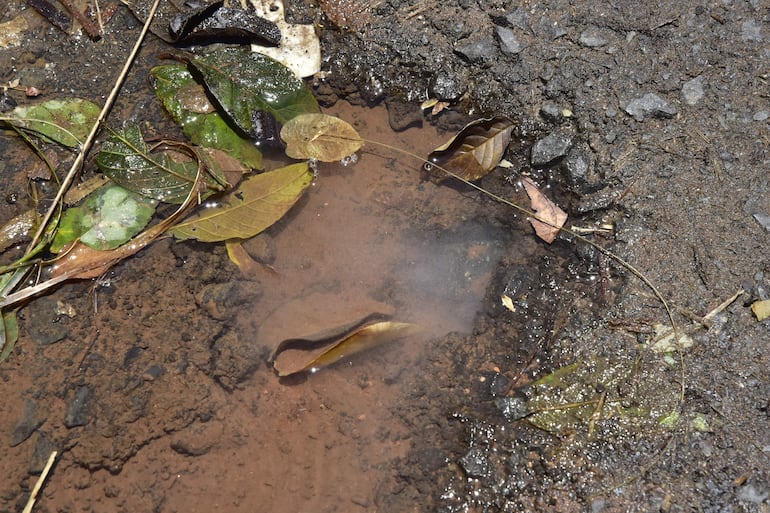 Pérdida de agua por un caño roto, desde hace dos meses, según denuncian los vecinos, en el barrio Tembetary de Asunción.