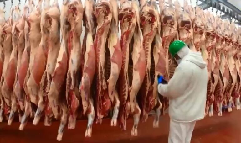 Paraguay volvió a lograr un récord en exportación de carne vacuna