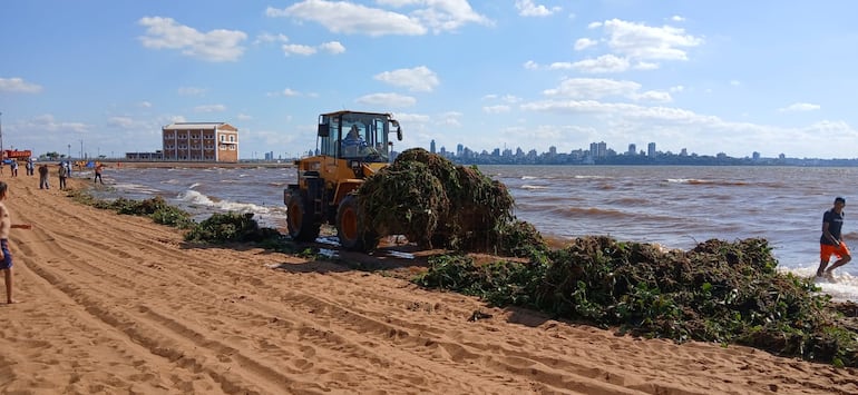 Playa San José, inhabilitada durante horas por “invasión” de camalotes