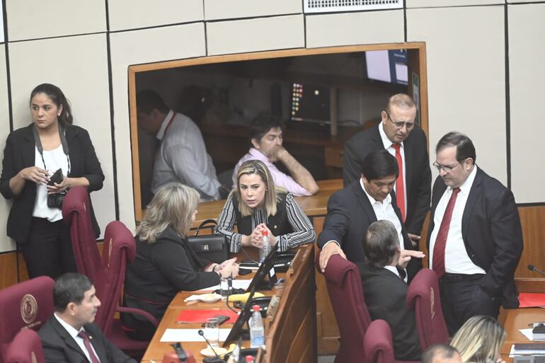 Bancada cartista del senado, junto a satélites y colorados disidentes aprobaron la ley de hambre cero.