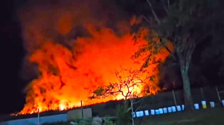 Quema de desperdicios habría originado la propagación de incendio hacia un refugio de animales.