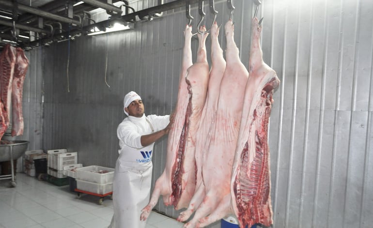 Paraguay cumple con todas las normas sanitarias para la exportación de carne de cerdo.