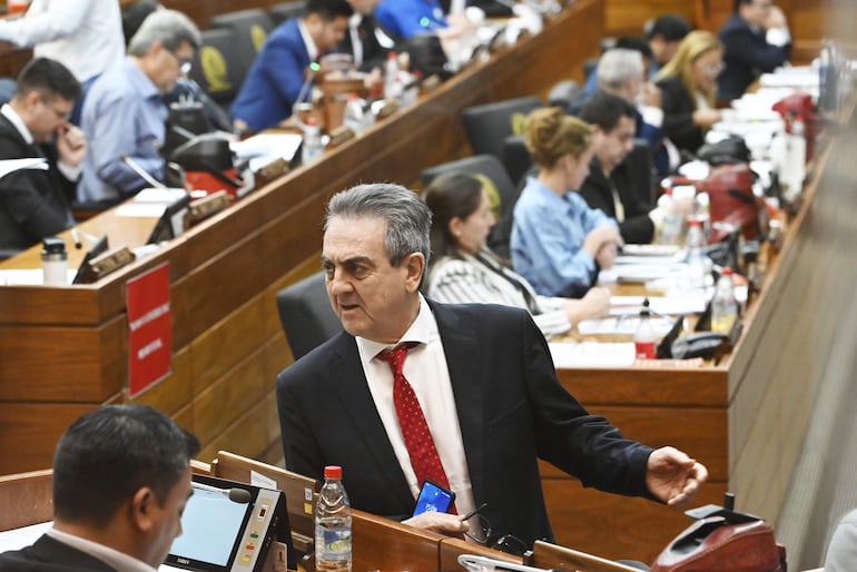 SESION DE LA CAMARA DE DIPUTADOS yamil esgaib