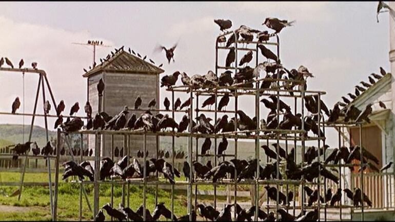 Fotograma de una inquietante escena de la película "Los Pájaros" ("The Birds", 1962), de Alfred Hitchcock.