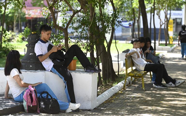 Estudiantes toman tereré y se refugian bajo los árboles de una plaza céntrica ante el intenso calor.