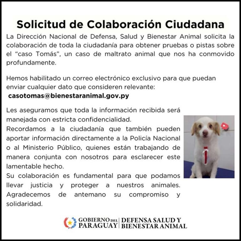 Comunicado de la Dirección Nacional de Defensa, Salud y Bienestar Animal sobre el caso Tomás.